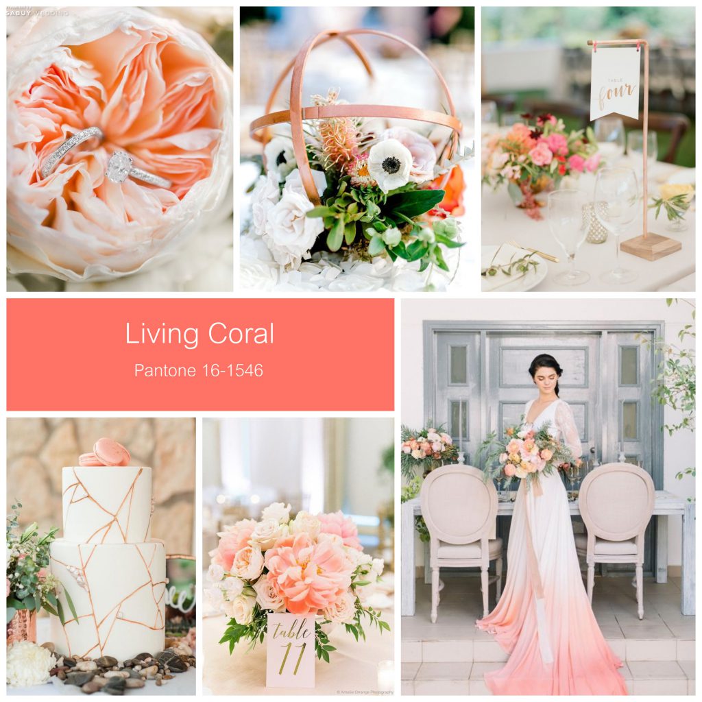 โทน Living Coral