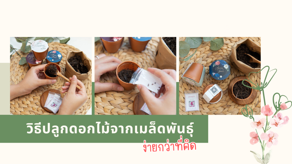 วิธีปลูกดอกไม้จากเมล็ดพันธุ์ ง่ายกว่าที่คิด!